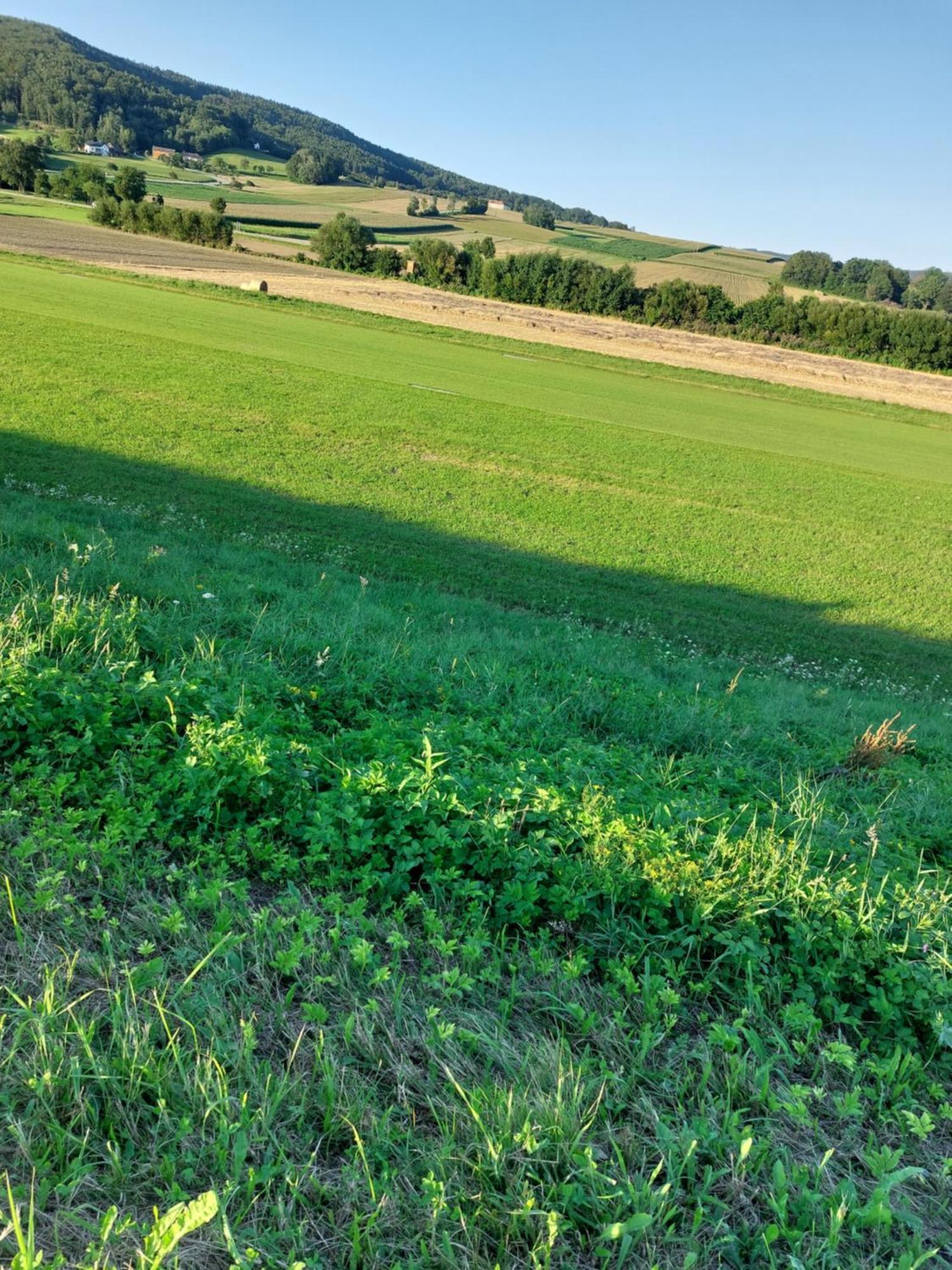 Ferienwohnung Gerti Pinkafeld Exteriér fotografie