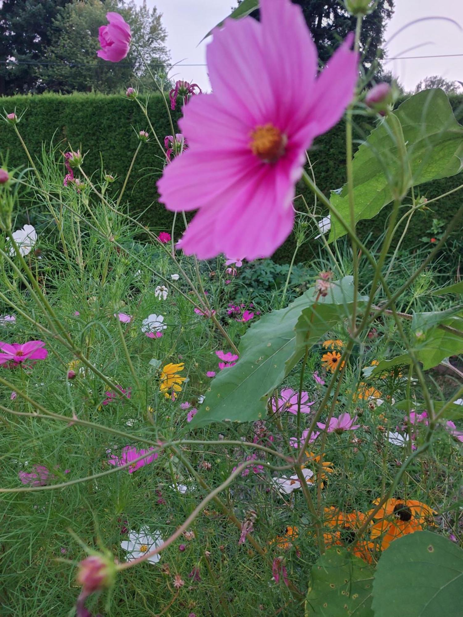 Ferienwohnung Gerti Pinkafeld Exteriér fotografie